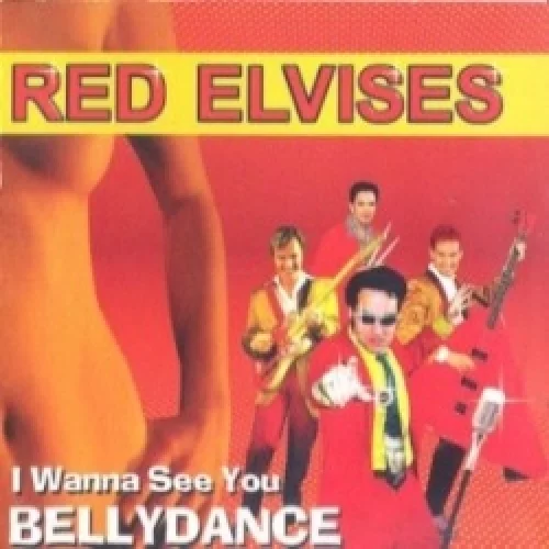 I Wanna See You Bellydance