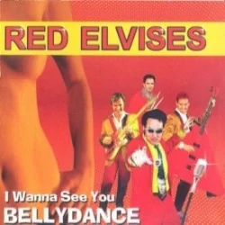 I Wanna See You Bellydance I Wanna See You Bellydance