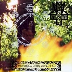 Verwüstung / Invoke the Dark Age