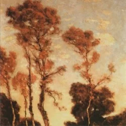 Autumn Aurora