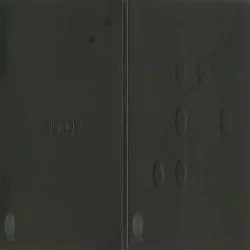 Phase V
