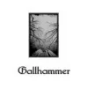 Gallhammer