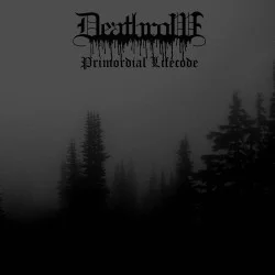 Primordial Lifecode