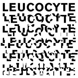 Leucocyte Leucocyte