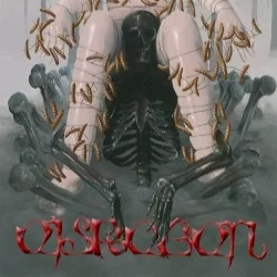 Knochenkult