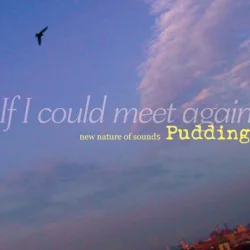 If I Could Meet Again If I Could Meet Again