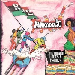 One Nation Under a Groove