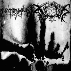 Nachtmystium / Xasthur