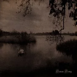 Swan Song Swan Song