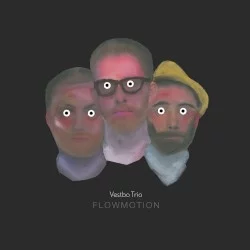 Flowmotion Flowmotion