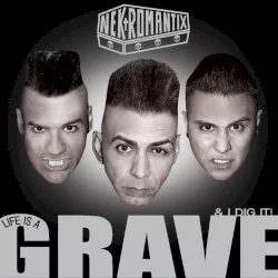 Life Is a Grave & I Dig It!