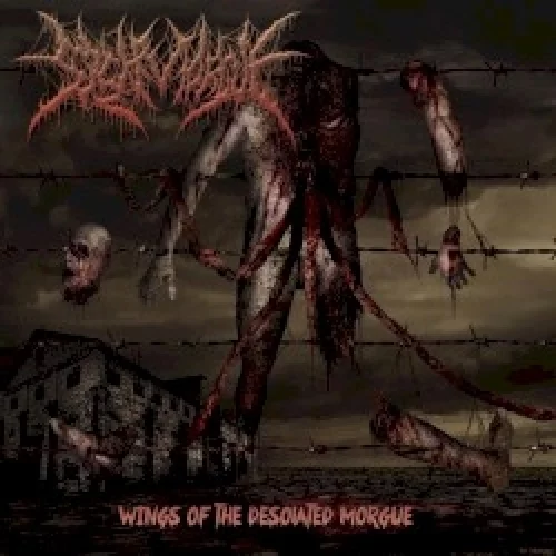 Wings of the Desolated Morgue