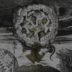 Ophidian Henosis