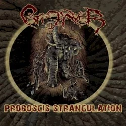 Proboscis Strangulation