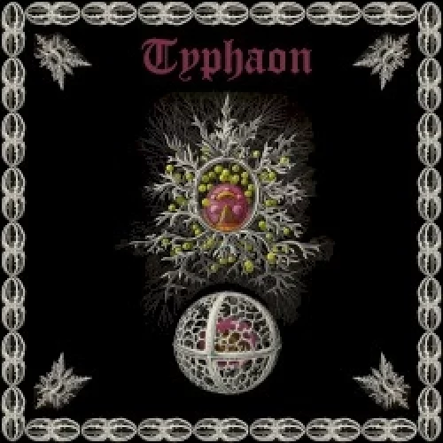 Typhaon