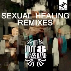 Sexual Healing Remixes Sexual Healing Remixes