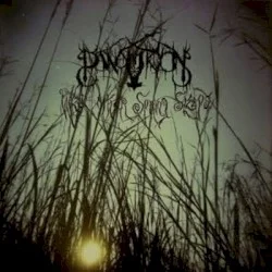 Panopticon / When Bitter Spring Sleeps Panopticon / When Bitter Spring Sleeps