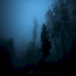The Rain That Falls Alone...