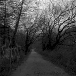 Fading Days Away...