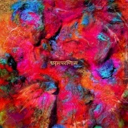 धर्मपरिणाम