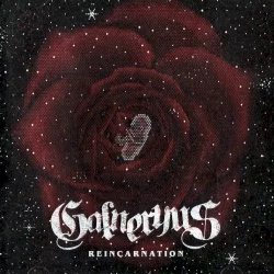 Reincarnation