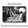 Electric Lady Mixing Sessions