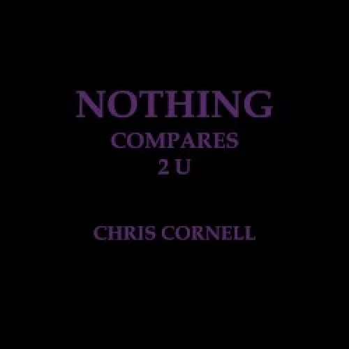 Nothing Compares 2 U