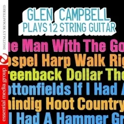 Plays 12 String Guitar