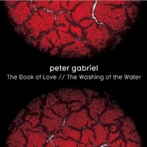The Book of Love / Washing of the Water