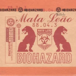 Mata Leão Mata Leão