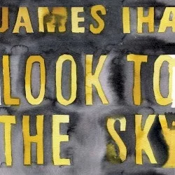 Look to the Sky Look to the Sky
