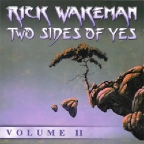 Two Sides of Yes, Volume II
