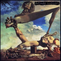 Songs for Insects