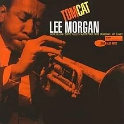 Tom Cat