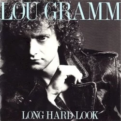 Long Hard Look Long Hard Look