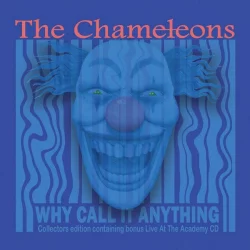 Why Call It Anything