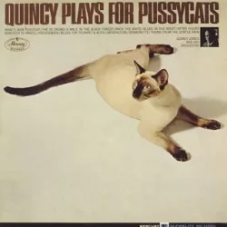 Quincy Plays for Pussycats Quincy Plays for Pussycats