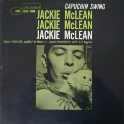 Capuchin Swing