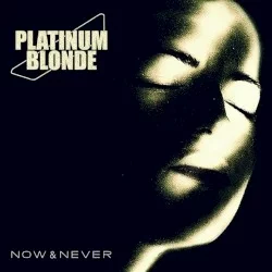 Now & Never Now & Never