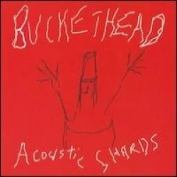 Acoustic Shards