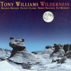 Wilderness