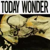Today Wonder