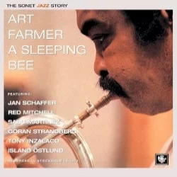 A Sleeping Bee