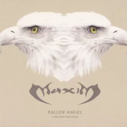 Fallen Angel