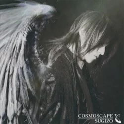 Cosmoscape