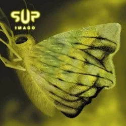 Imago Imago