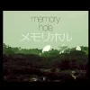 Memory Hole 1