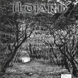 Forest Poetry