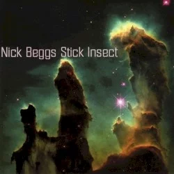 Stick Insect Stick Insect
